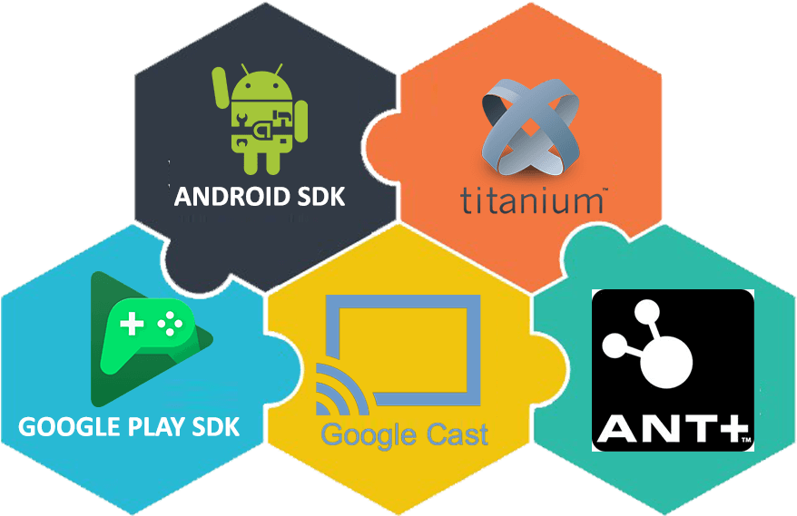 Tools We Use - Ant (960x720)