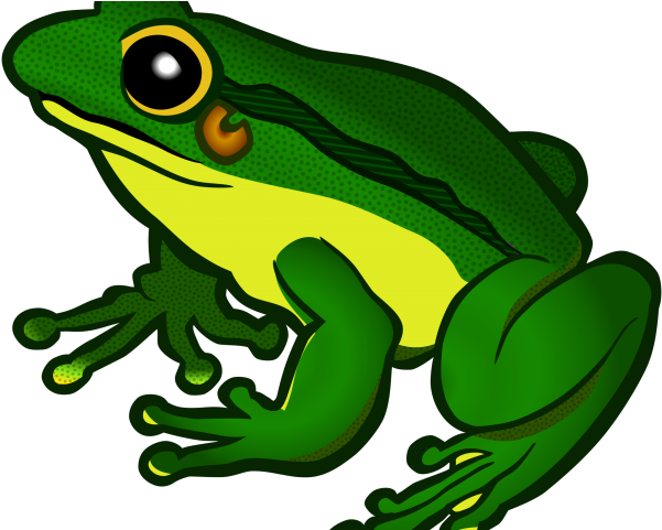 Green Frog Clipart Colored - Gay Frogs (640x480)