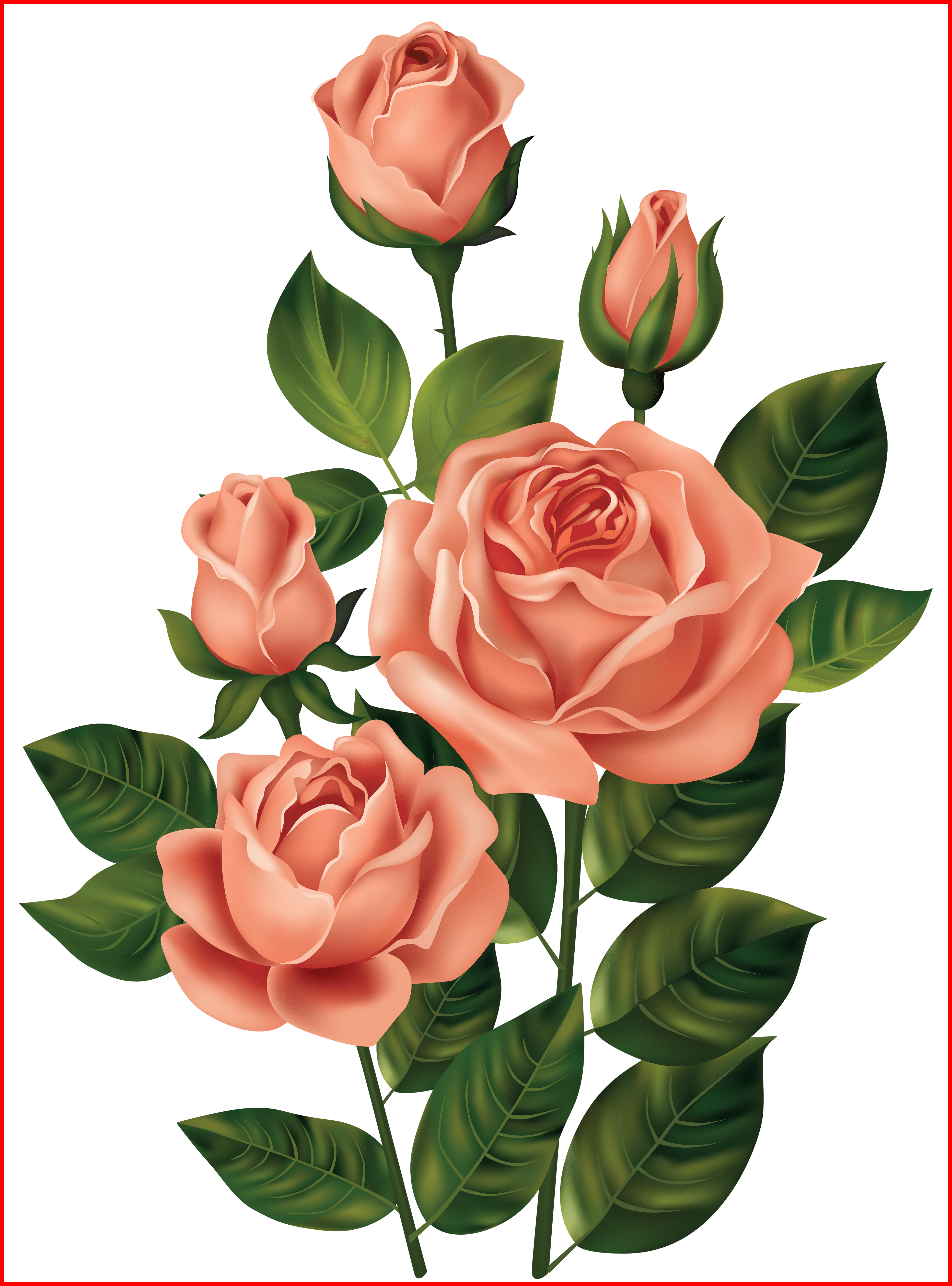 Shabby Chic Art Shabby Chic Flower Art Unbelievable - Roses Transparent (3726x5030)
