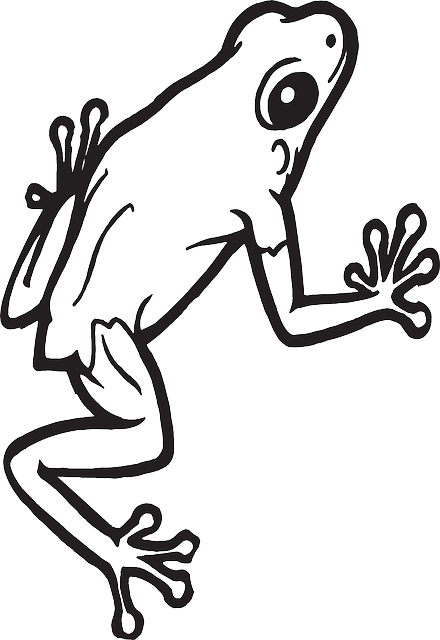 Sticky Eyes, Frog, Amphibian, Cute, Legs, Sticky - Frog Ornament (round) (440x640)