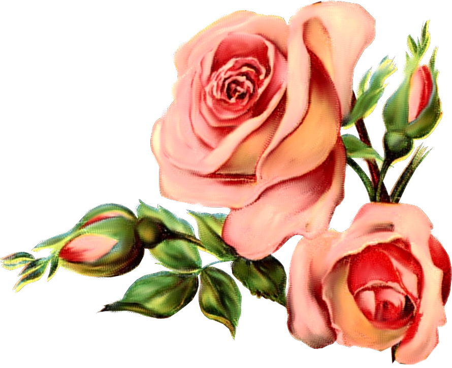 Paper Crafts Vintage Pieces For Collagealtered Art - Rose Vintage Png (890x725)