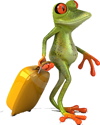 Frog Suitcase 17922439 Copy - Stock Photography (400x432)