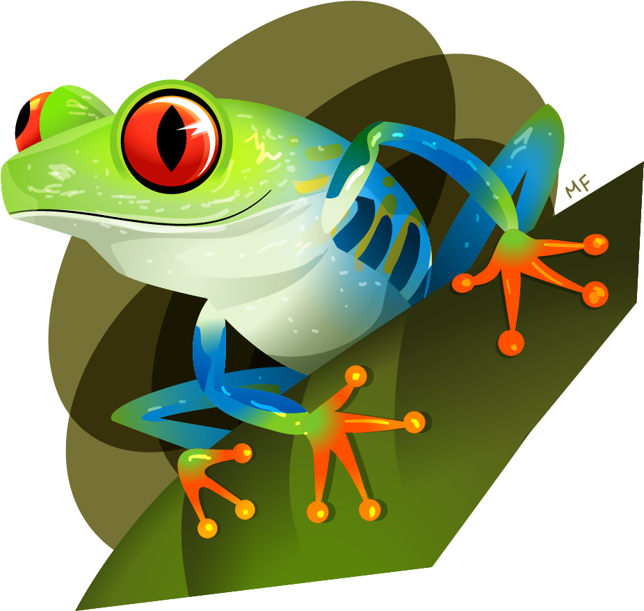 Rana Ojos Rojos Png (1000x1000)