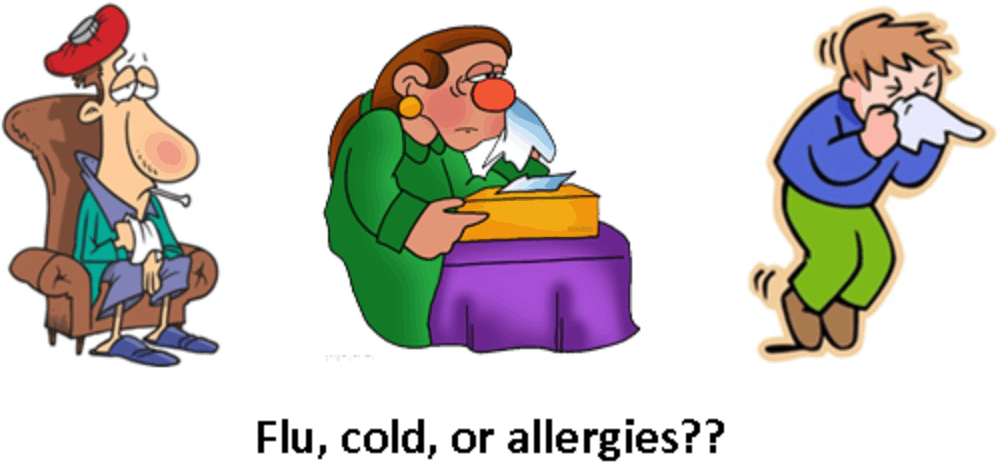 Child Care Issues - Colds And Flu Png (1032x512)