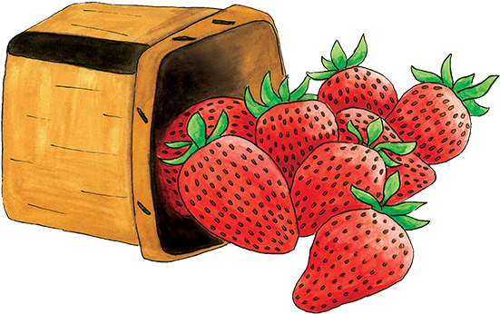 Foodie Focus Basket Of Strawberries Clip Art - Strawberries In The Basket Clipart (566x392)