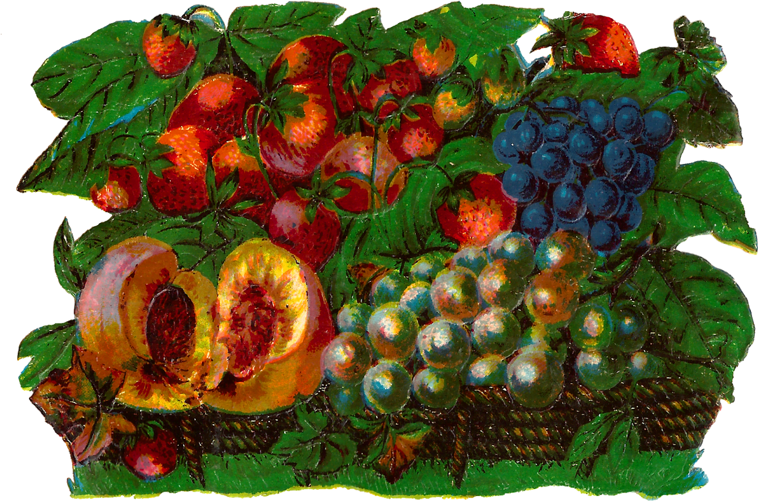Each Basket Is Full To Overflowing With Lots Of Different - Seedless Fruit (1600x1105)