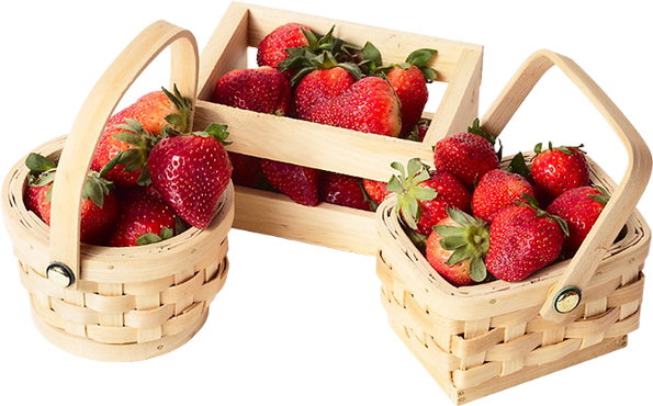 Paniers De Fraises - Strawberry Basket Png (595x370)