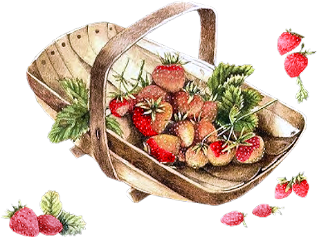 Baskets With Strawberries - Marjolein Bastin (480x397)