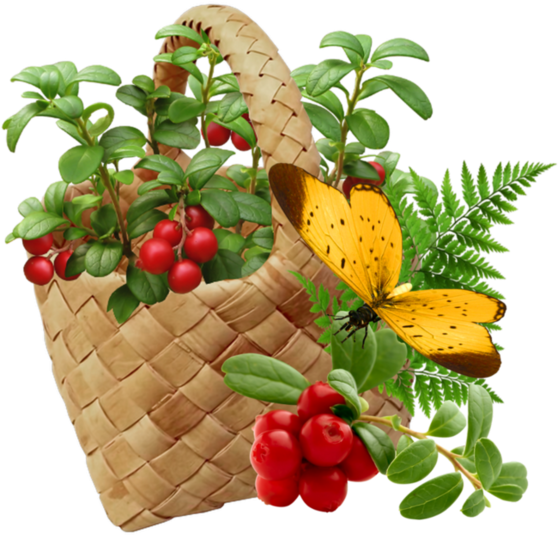 Fruit Et Legumes - Breast Cancer: Reduce Your Risk With Foods You Love (600x582)