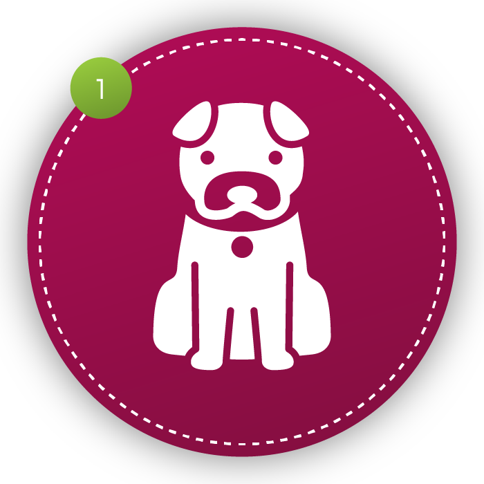 Consultation - Technics Slipmat Strobe 1 (700x700)