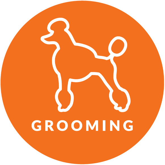 Doesn't Your Dog Deserve Their Best Life - Rescue A Reef (581x581)