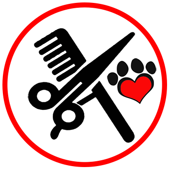 Professional Dog Grooming - Dog Grooming (362x362)
