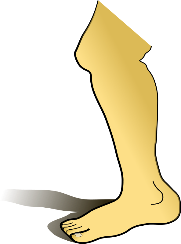 Clipart Of Leg Bones, Artwork U18619581 - Part Of Body Leg (2236x2400)