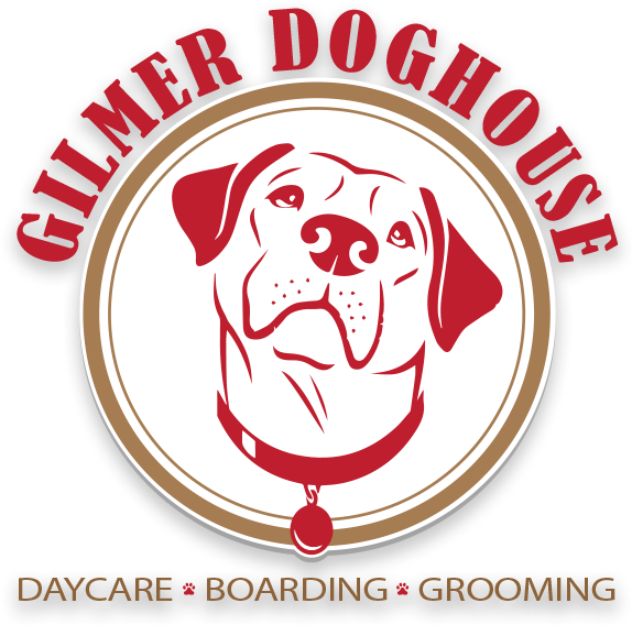 Dog Daycare, Dog Boarding, Dog Grooming In Gilmer Texas - Labrador Labrador Labrador Oval Ornament (574x568)