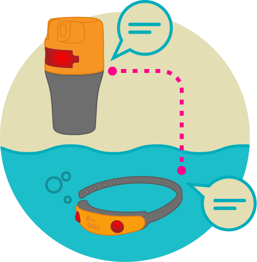 Seal - Graphics (529x539)