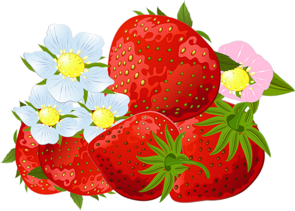 Fraises Png, Tube - Strawberries (600x430)