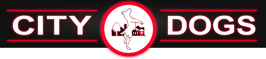 City Dogs Grooming Logo - Dog (850x190)