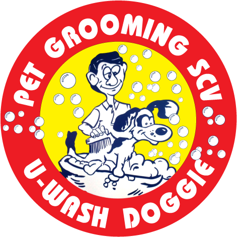 Start The New Year Right With Your Pet Professionally - U Wash Doggie (500x519)