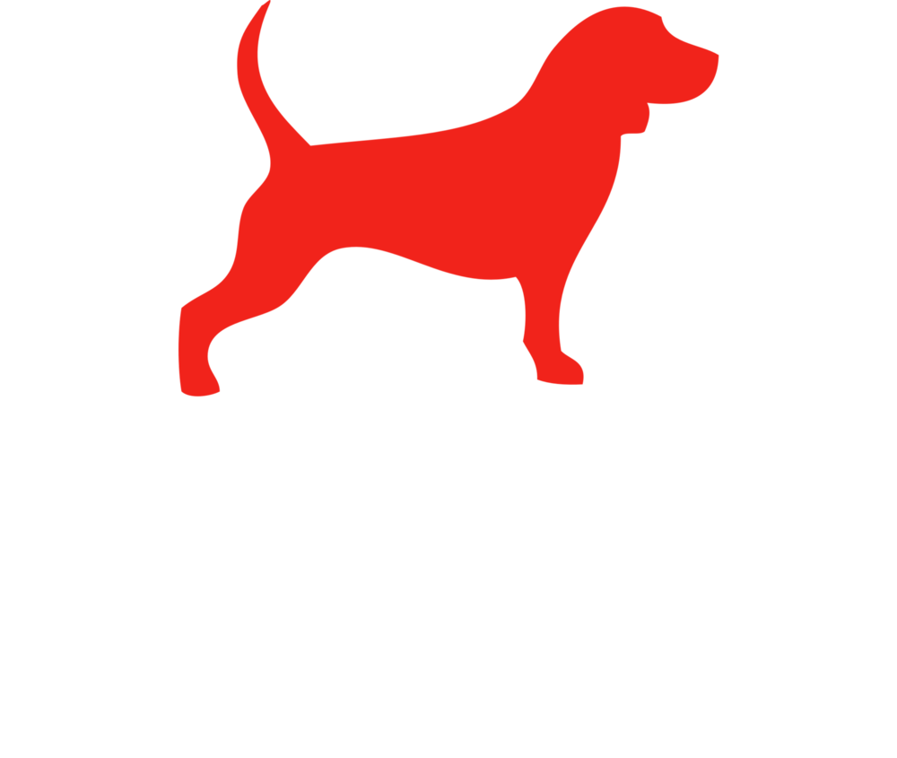 Wonder Dog Studio - Wonder Dog Studio (1000x845)