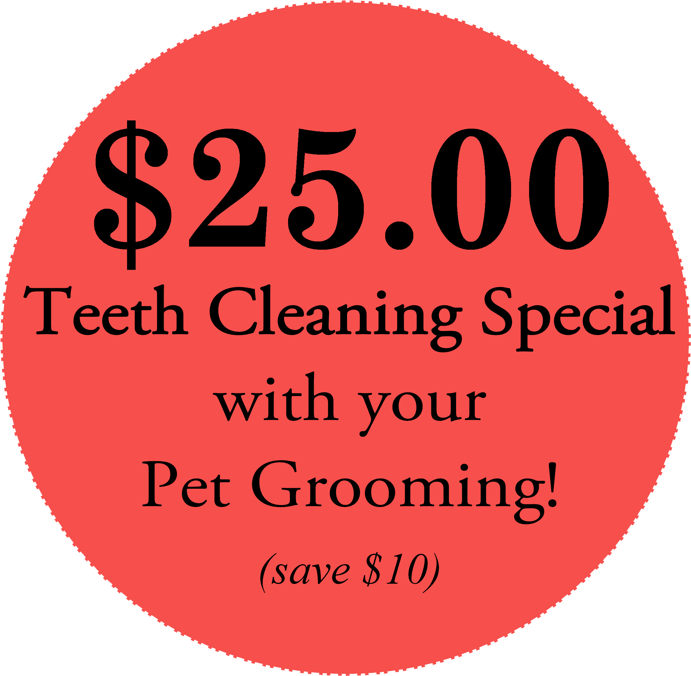 Teeth Cleaning Services - Circle (2501x2501)