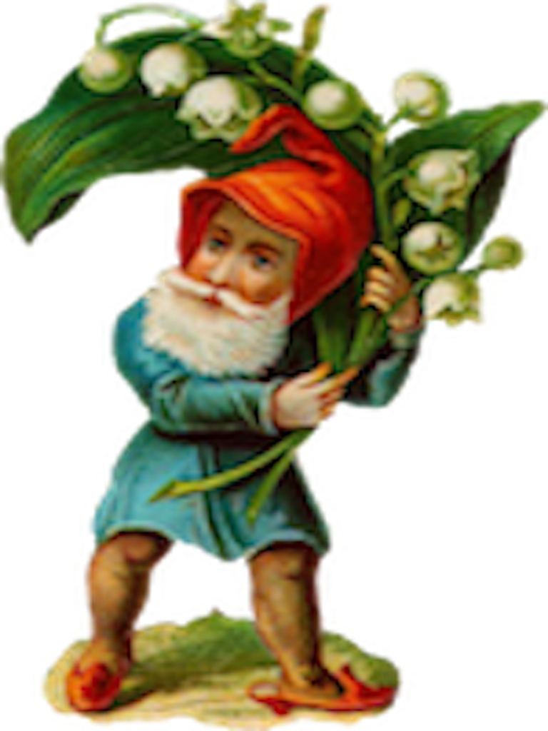 Assist The Mad Gnome In The Strawberry Patch As He - Vintage Gnome Clip Art (768x1024)