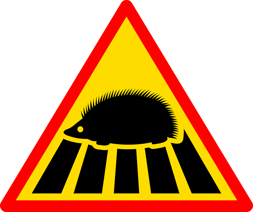 Sign, Road, Road Sign, Traffic, Road Signs, Signpost - Znak Drogowy Uwaga Jeże (860x720)