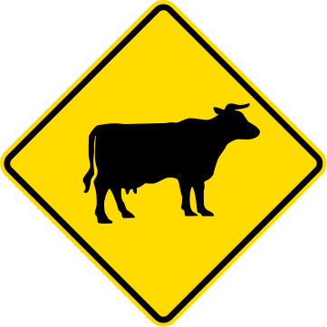 Road So Slippery Your Cars Wheels Will Defy Nature - Meat Is For Pussies: A How-to Guide For Dudes Who Want (361x361)