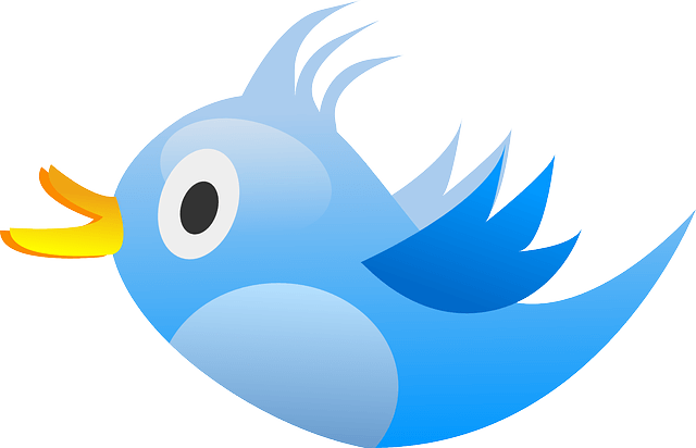 Twitter Publicity And Pr To Grow Traffic And Sales - Twitter Clipart (640x412)