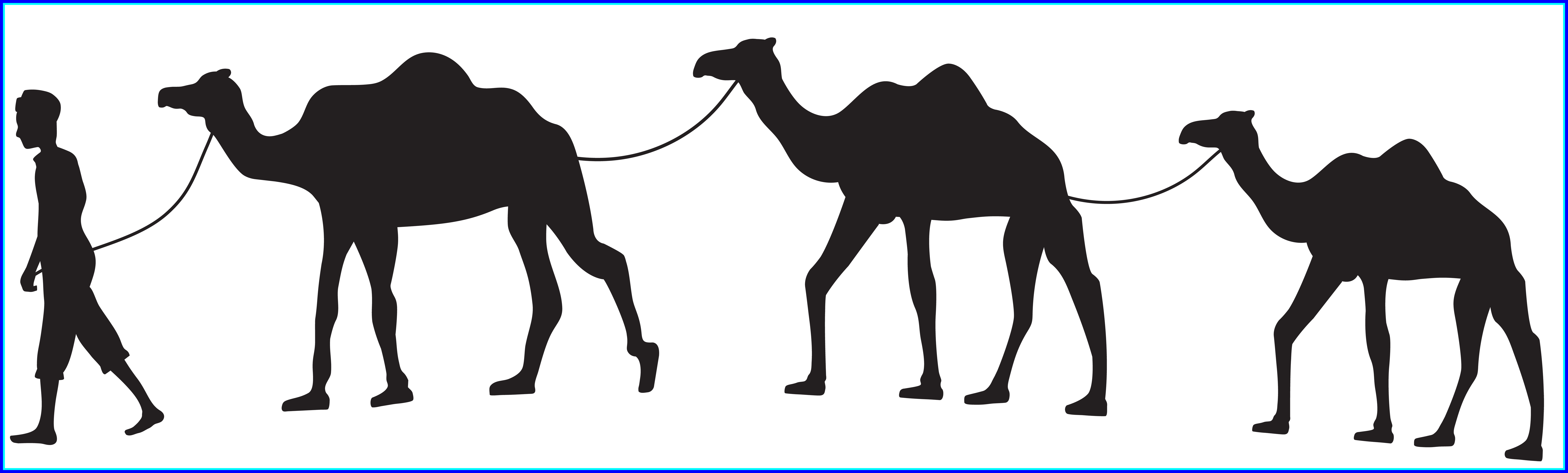 Awesome Camel Caravan Silhouette Png Clip Art Gallery - Camel Silhouette Png (8050x2430)