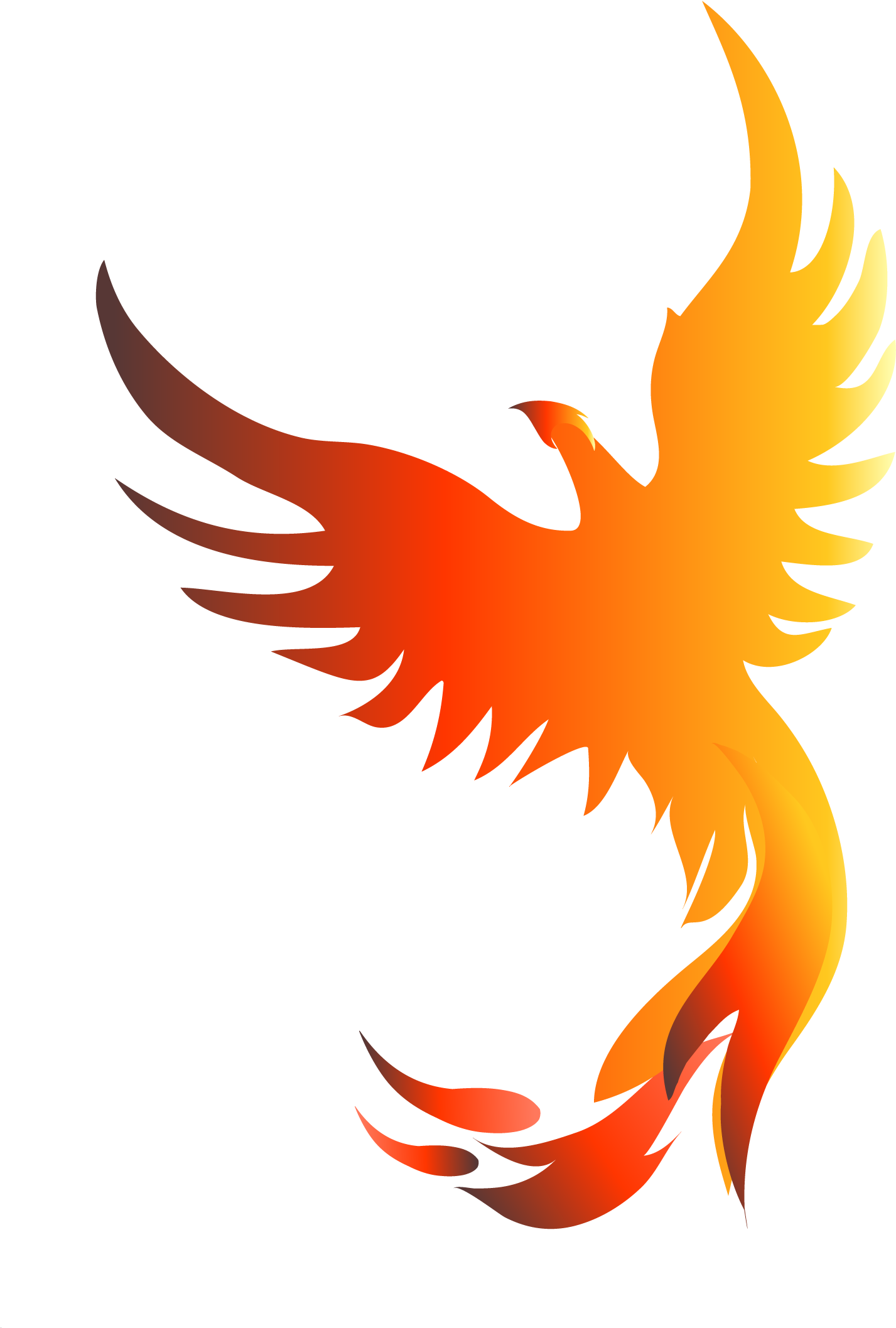 Phoenix Royalty-free Stock Photography Clip Art - Holy Spirit And The Christian Life - Book (2000x3500)