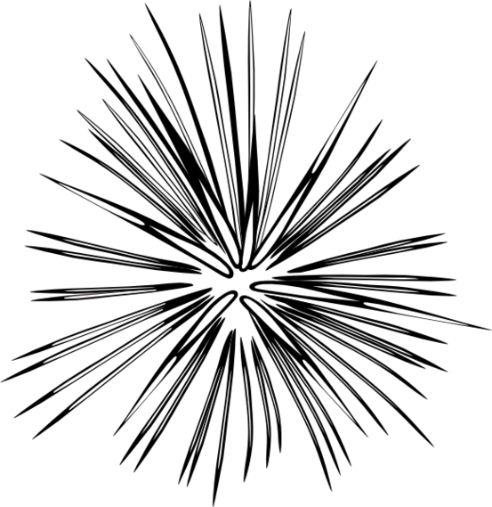 Firework Clip Art Black And White Free - Black Firework Png (553x569)
