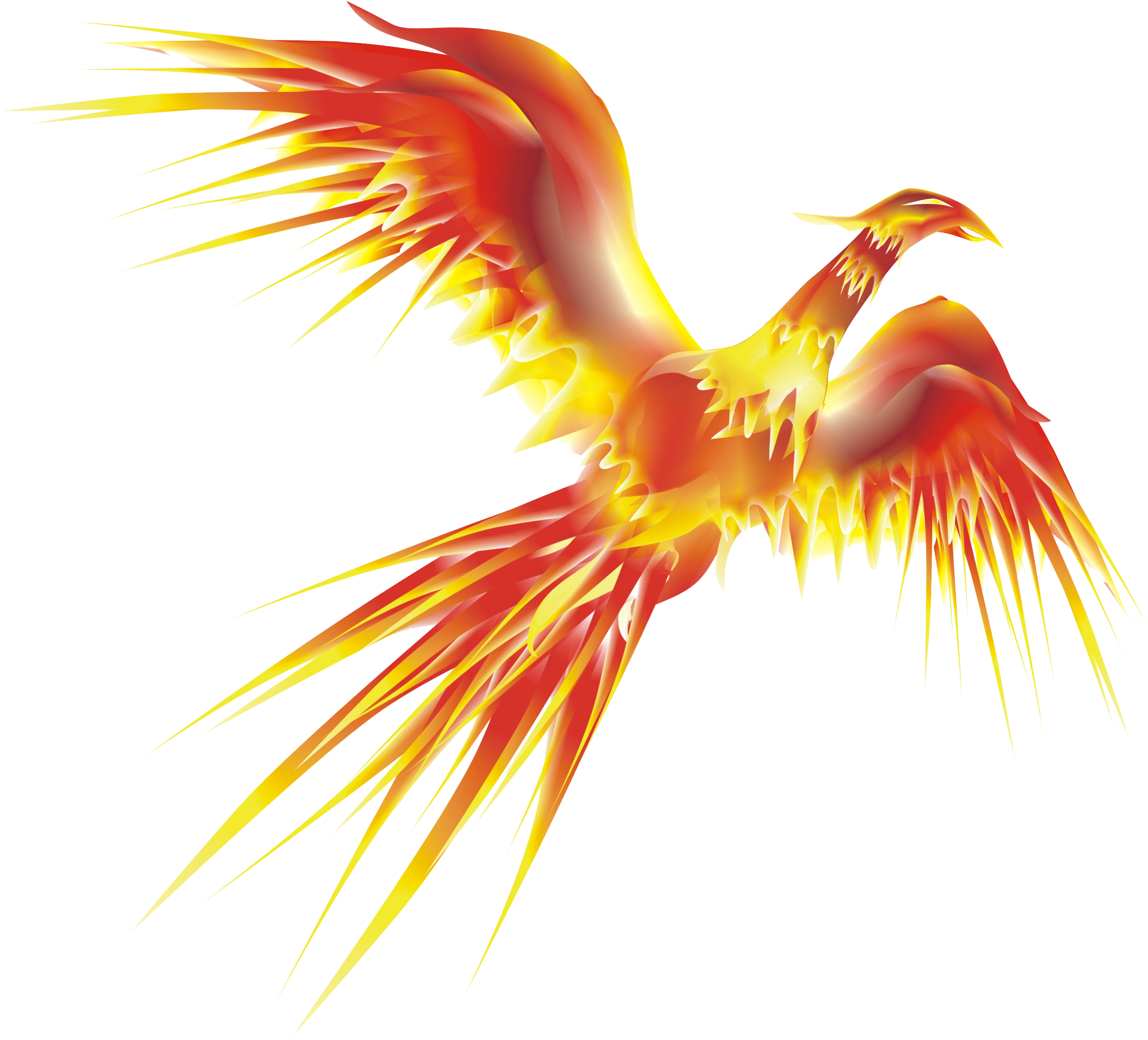 Phoenix Png Transparent Phoenix - Fenix Corel Draw (2604x2340)