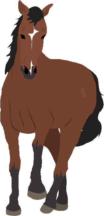Horse Clipart Animated - Horse Cartoon Gif Transparent (500x720)