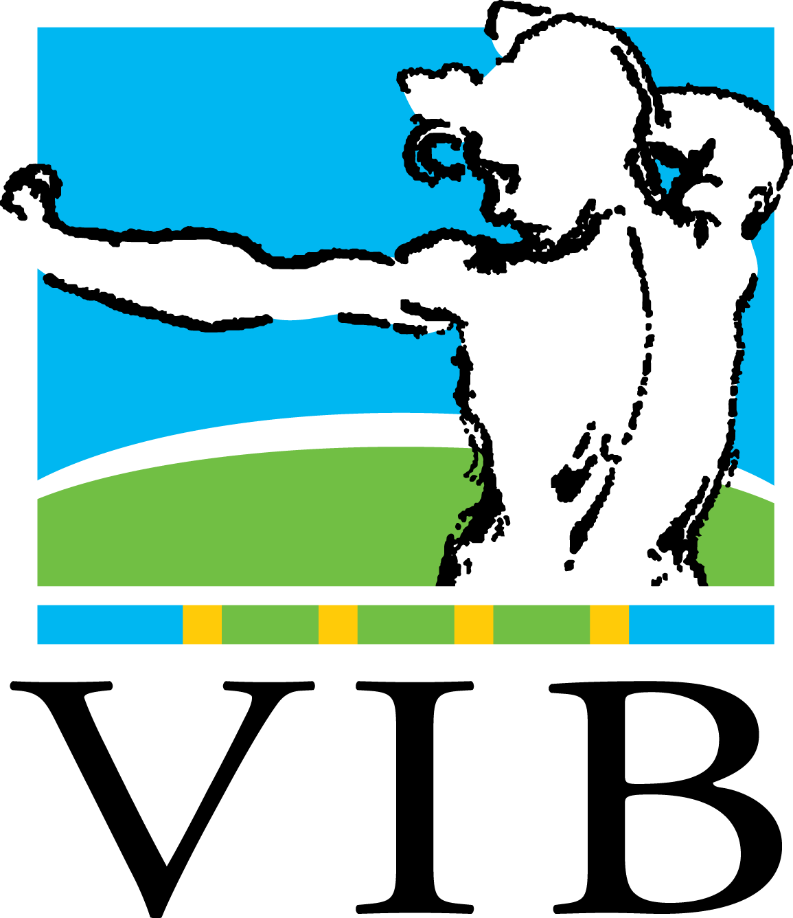 Vlaams Instituut Voor Biotechnologie (1155x1336)