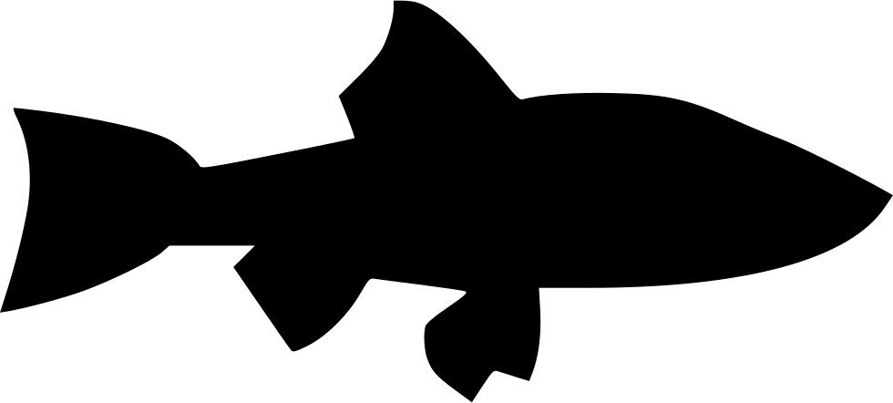 River Long Predator Lake Comments - Shark (980x442)