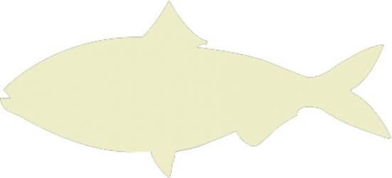 Diadromy - World Fish Migration Day (551x250)