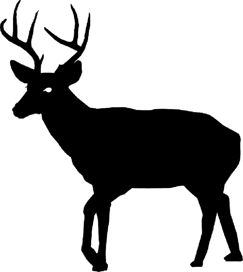 Animal, Buck, Deer, Nature, Silhouette - Deer Silhouette Transparent (800x895)