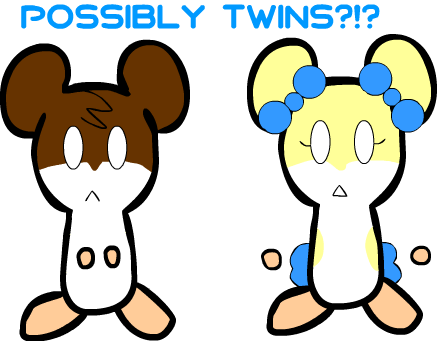Possibly Twins - Possibly Twins (437x341)