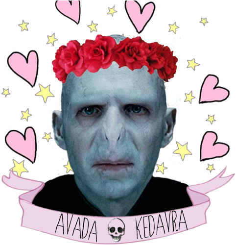 Narikiriomen Harry Potter Harry Potter / Voldemort (499x499)
