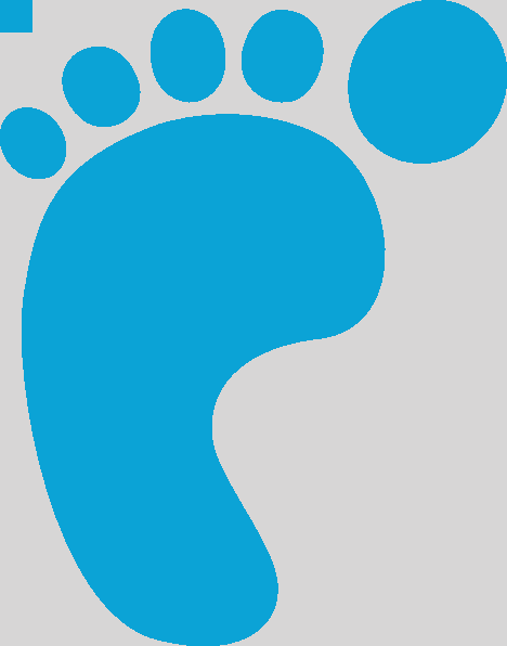 Red And Blue Footprint Clipart Blue Footprints Clipart - Life Cycle Key Words (468x596)