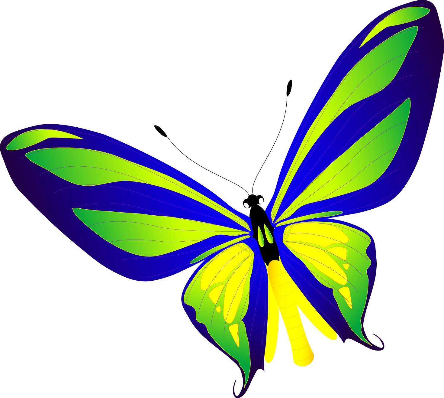 Butterfly Vector Free (1470x1316)