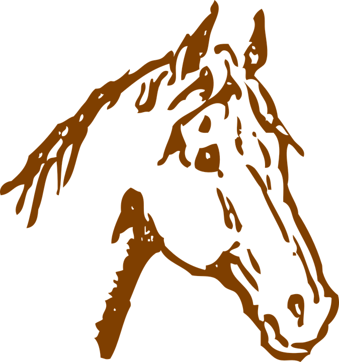 Horse Head Clipart 25, Buy Clip Art - Cabeza De Caballo Vector Png (674x720)