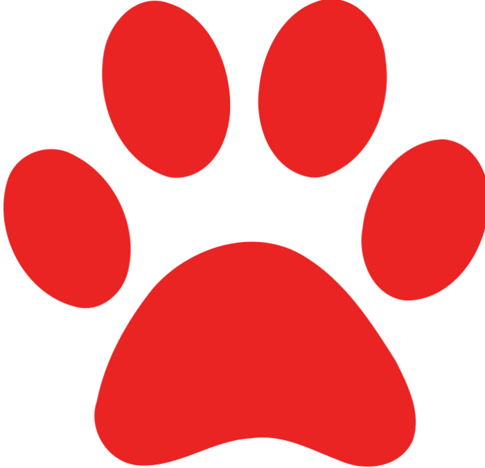 Paw Print Clip Art Vector M4glma Clipart - 6 X Large Dog/puppy Paw Print Gloss Decals Car Bumper (700x675)
