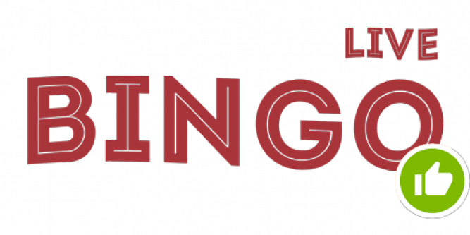Bingo Live Free Download For Laptop Pc Windows 7 10 - Graphics (667x333)