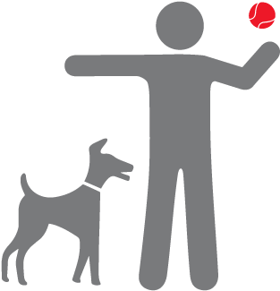 </p> - Dog Parking (327x396)