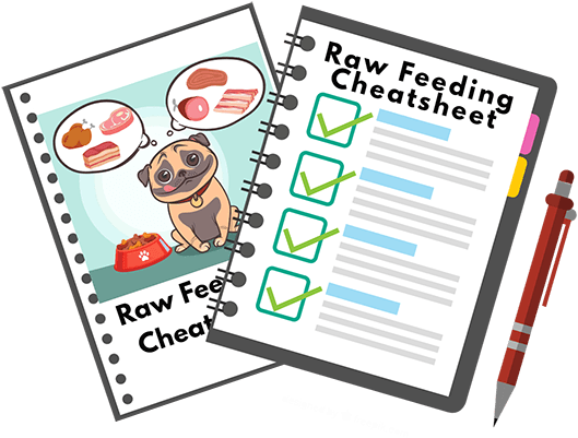 Are You Ready To Switch Your Dog To A Raw Diet - Raw Feeding (550x403)