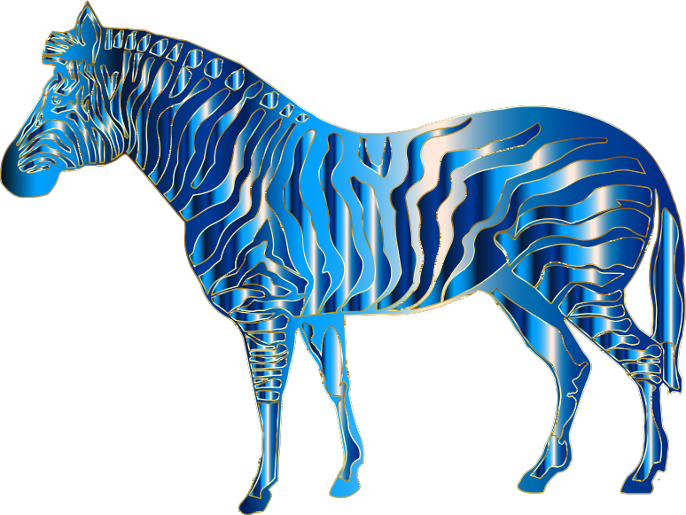 Medium Image - Zebra Cool Png (774x581)