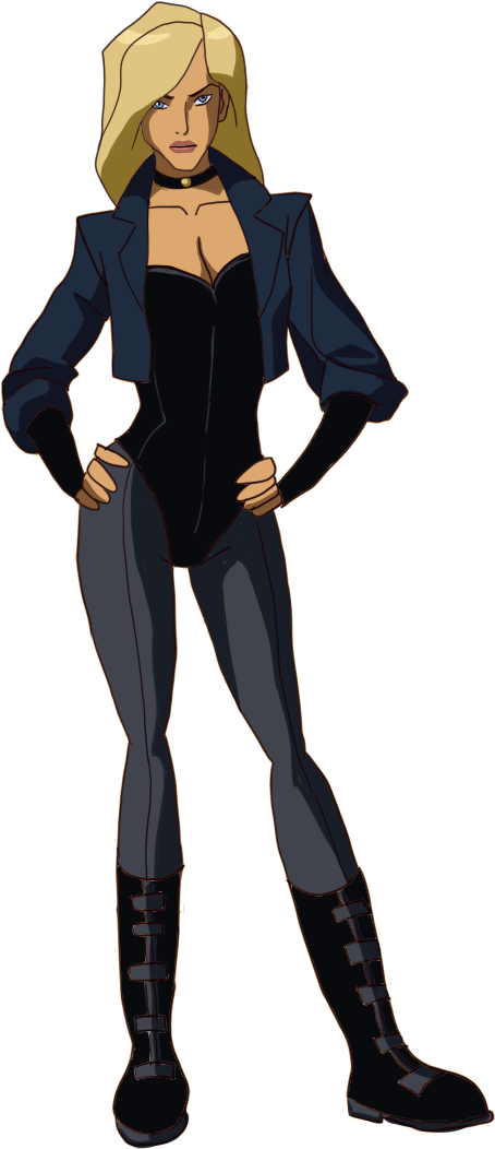 Black Canary Young Justice (640x1080)