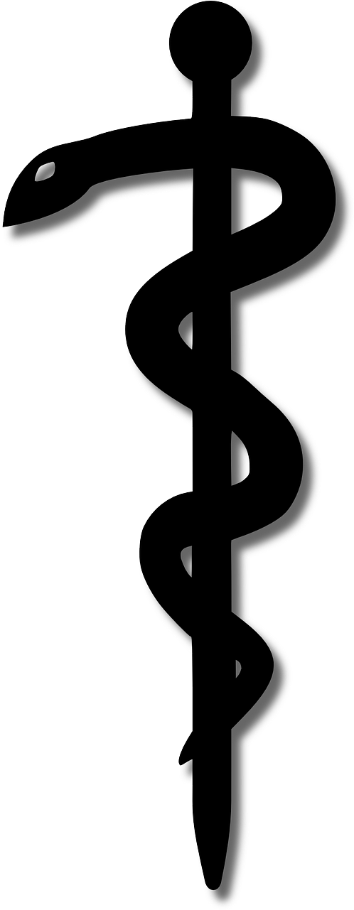 Rod Of Asclepius Medicine Symbol Clip Art - Aesculap Staff (640x1280)