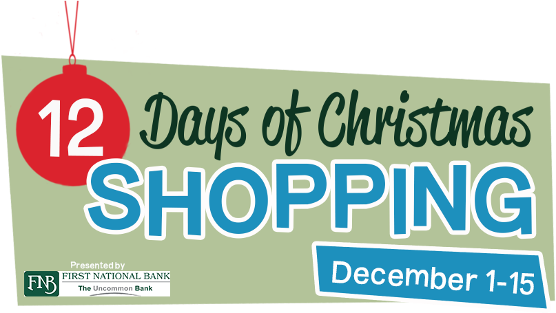 Weihnachtsplakat Poster Merry Christmas Din A1 - 59,4 (824x490)